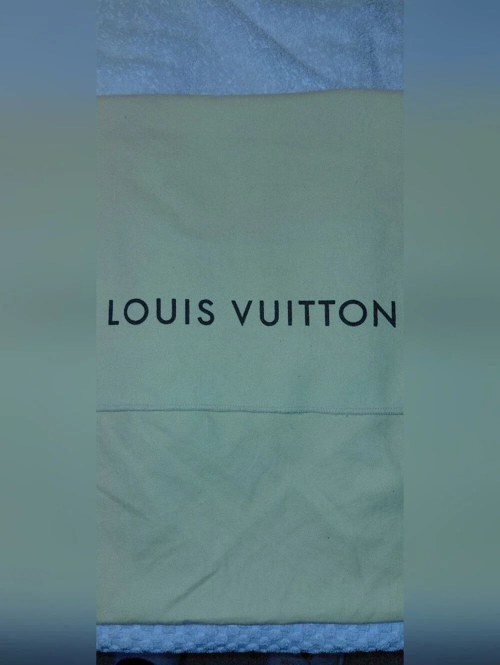 Louis Vuitton Large Cream Dust Cover 18